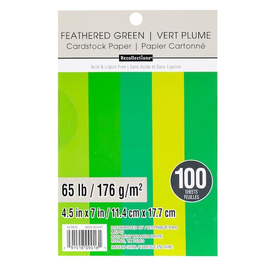 Feathered Green 4.5" x 7" Cardstock Paper by Recollections™, 100 Sheets